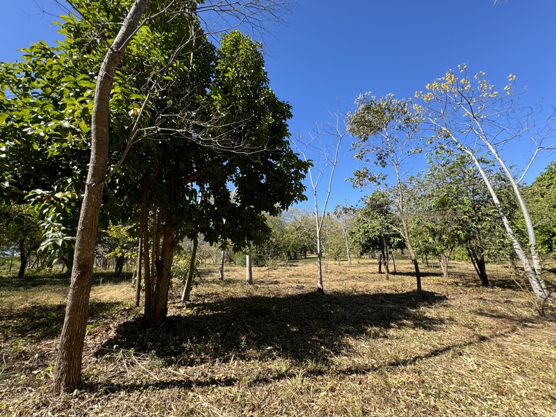 0 bed Land For Sale in Avellanas, Guanacaste - thumb 5