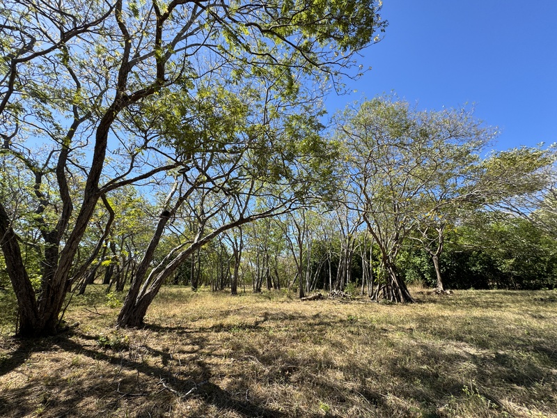 0 bed Land For Sale in Avellanas, Guanacaste - thumb 13