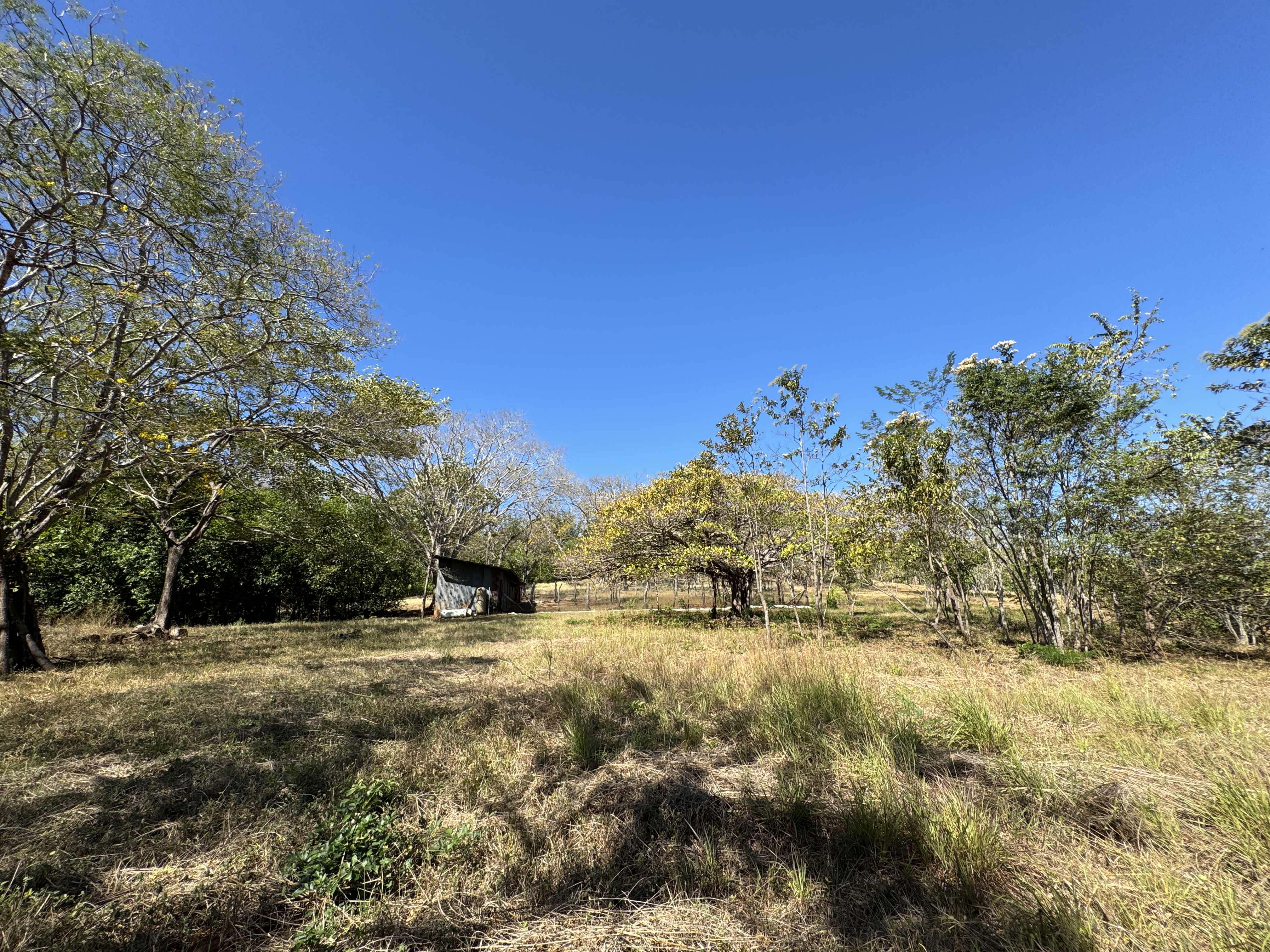 0 bed Land For Sale in Avellanas, Guanacaste - thumb 17