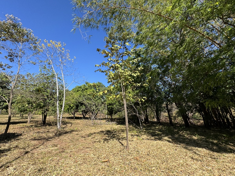 0 bed Land For Sale in Avellanas, Guanacaste - thumb 9