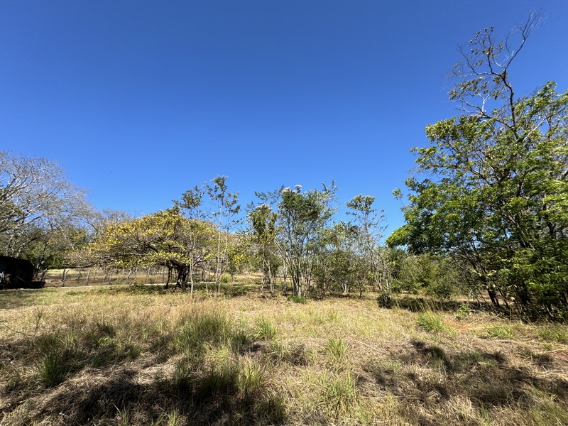 0 bed Land For Sale in Avellanas, Guanacaste - thumb 16