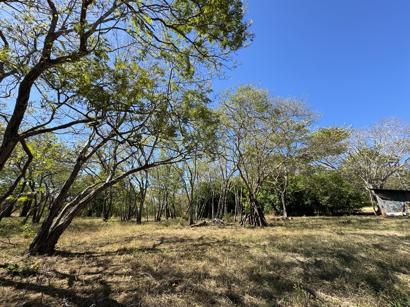 0 bed Land For Sale in Avellanas, Guanacaste - thumb 15