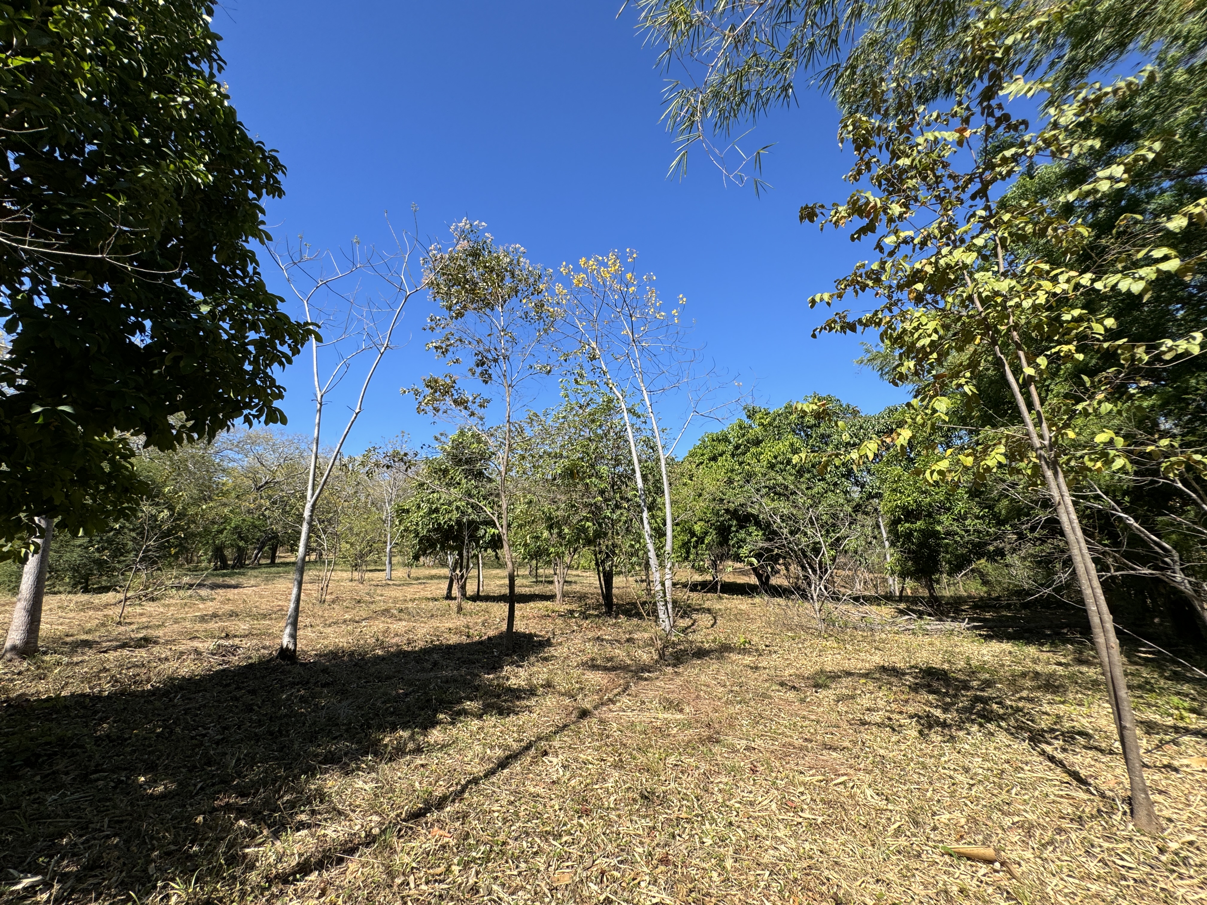0 bed Land For Sale in Avellanas, Guanacaste - thumb 10