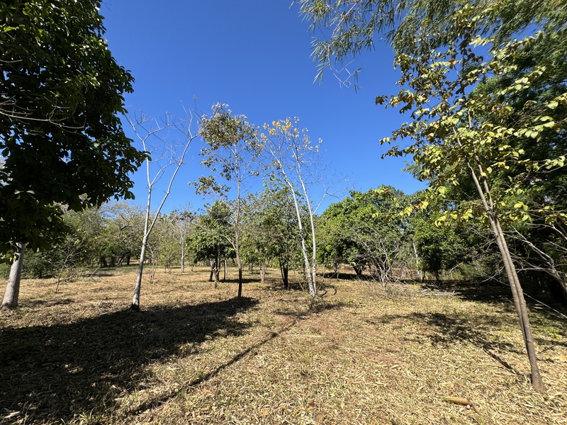 0 bed Land For Sale in Avellanas, Guanacaste - thumb 10