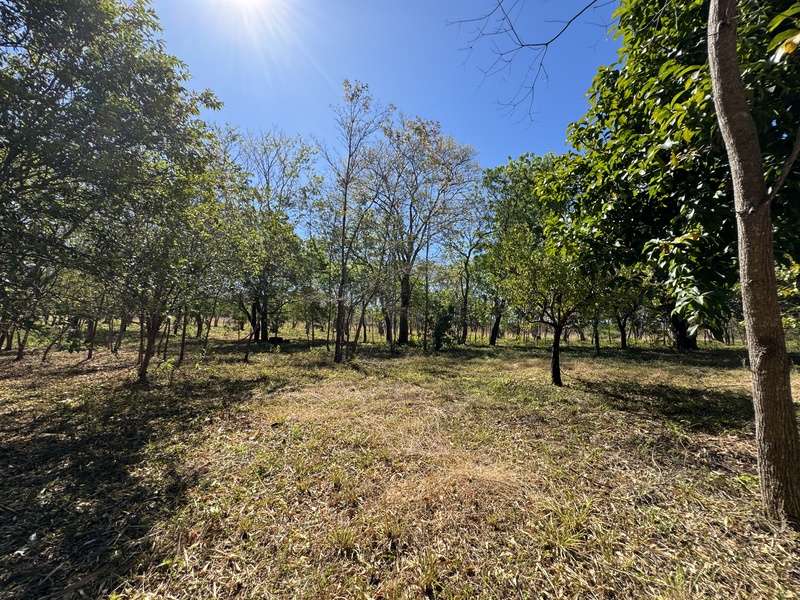 0 bed Land For Sale in Avellanas, Guanacaste - thumb 6