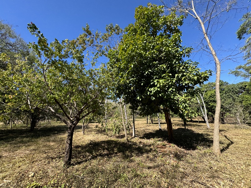 0 bed Land For Sale in Avellanas, Guanacaste - thumb 12