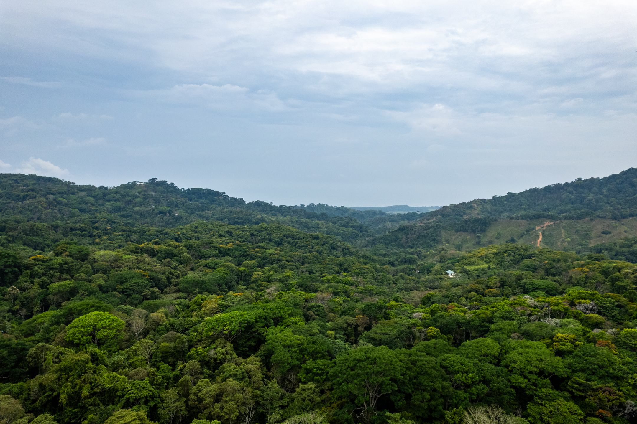 2 bed Land For Sale in Dominical, Puntarenas - thumb 19
