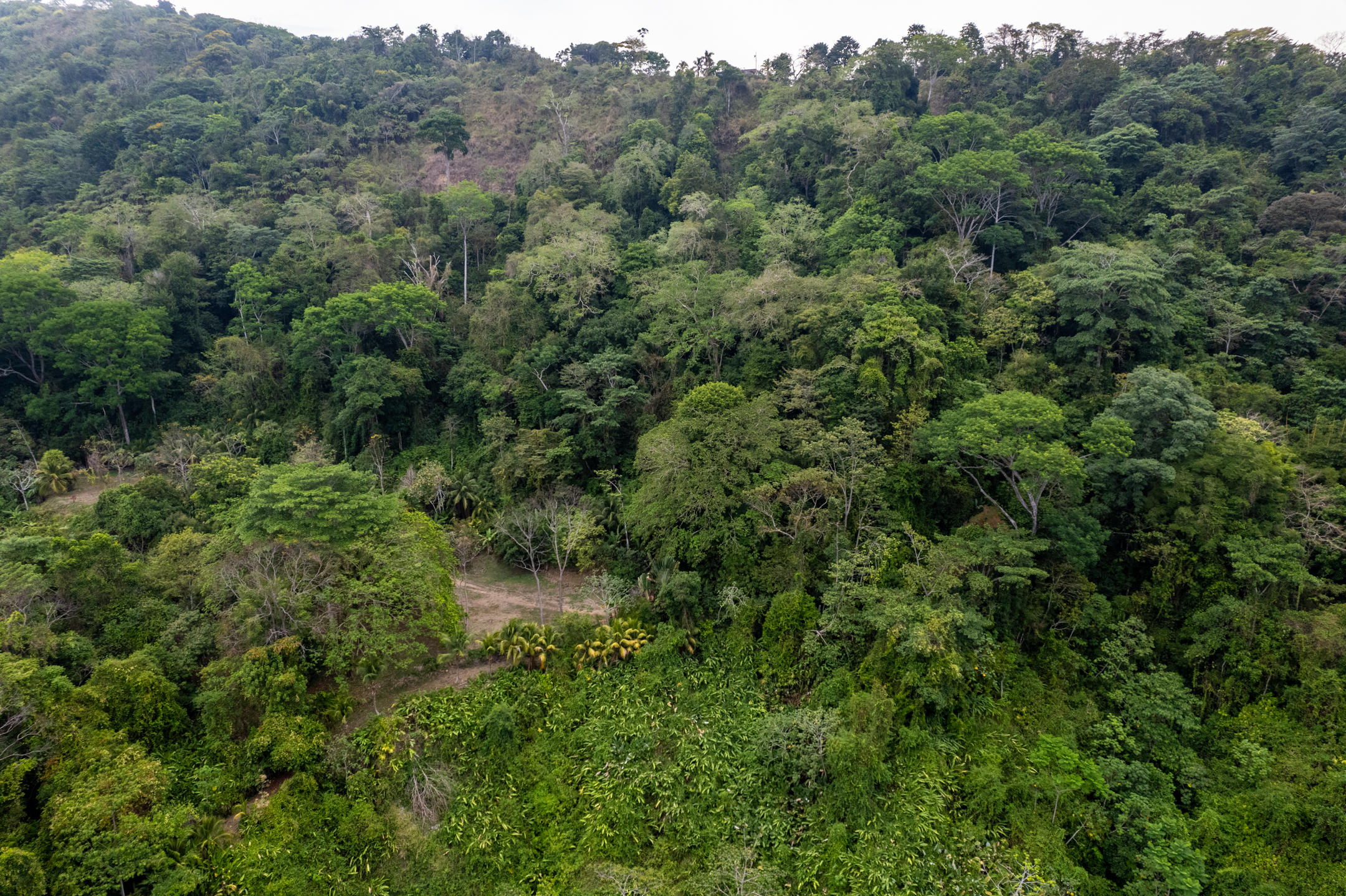 2 bed Land For Sale in Dominical, Puntarenas - thumb 25