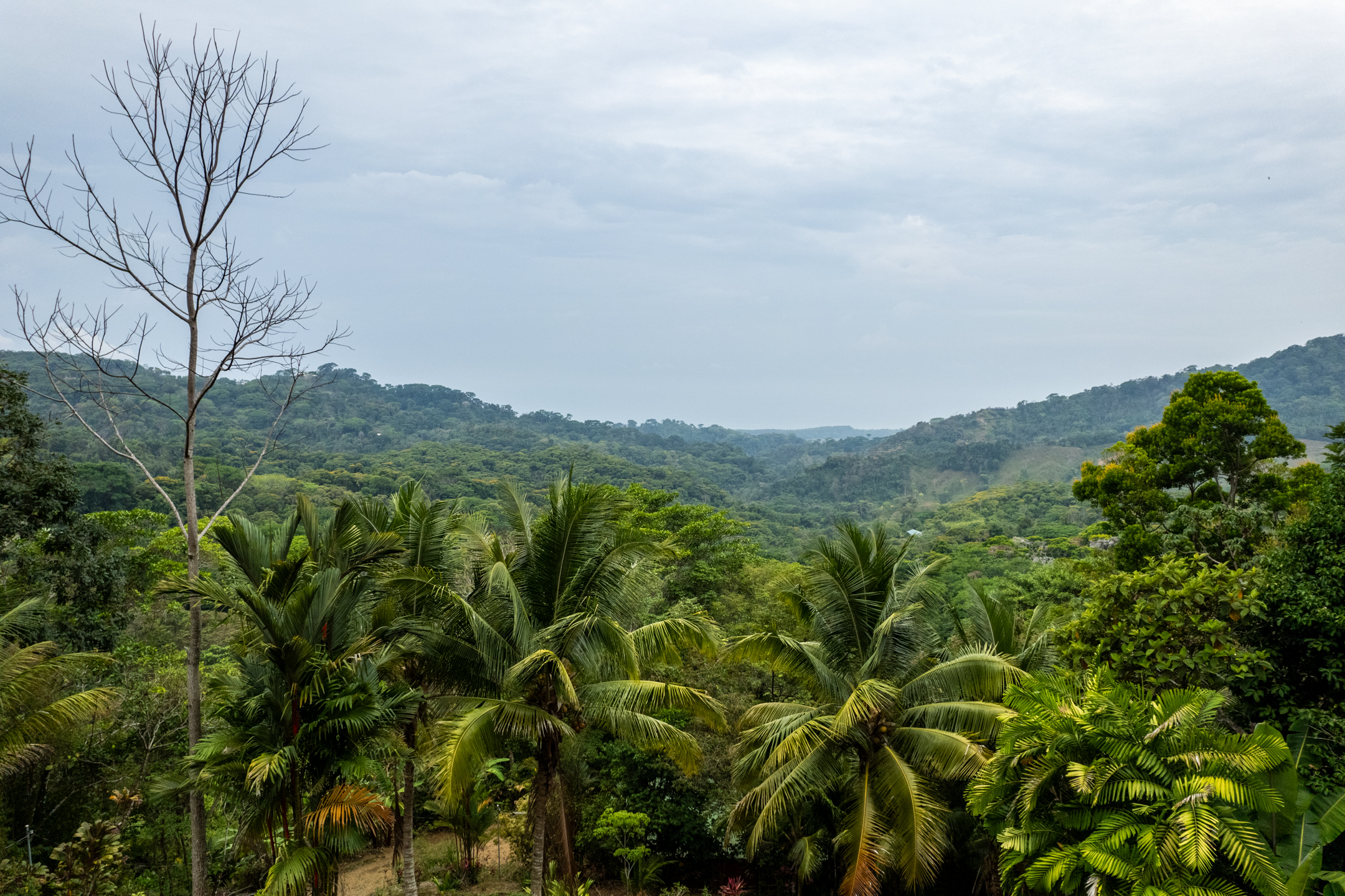 2 bed Land For Sale in Dominical, Puntarenas - thumb 4