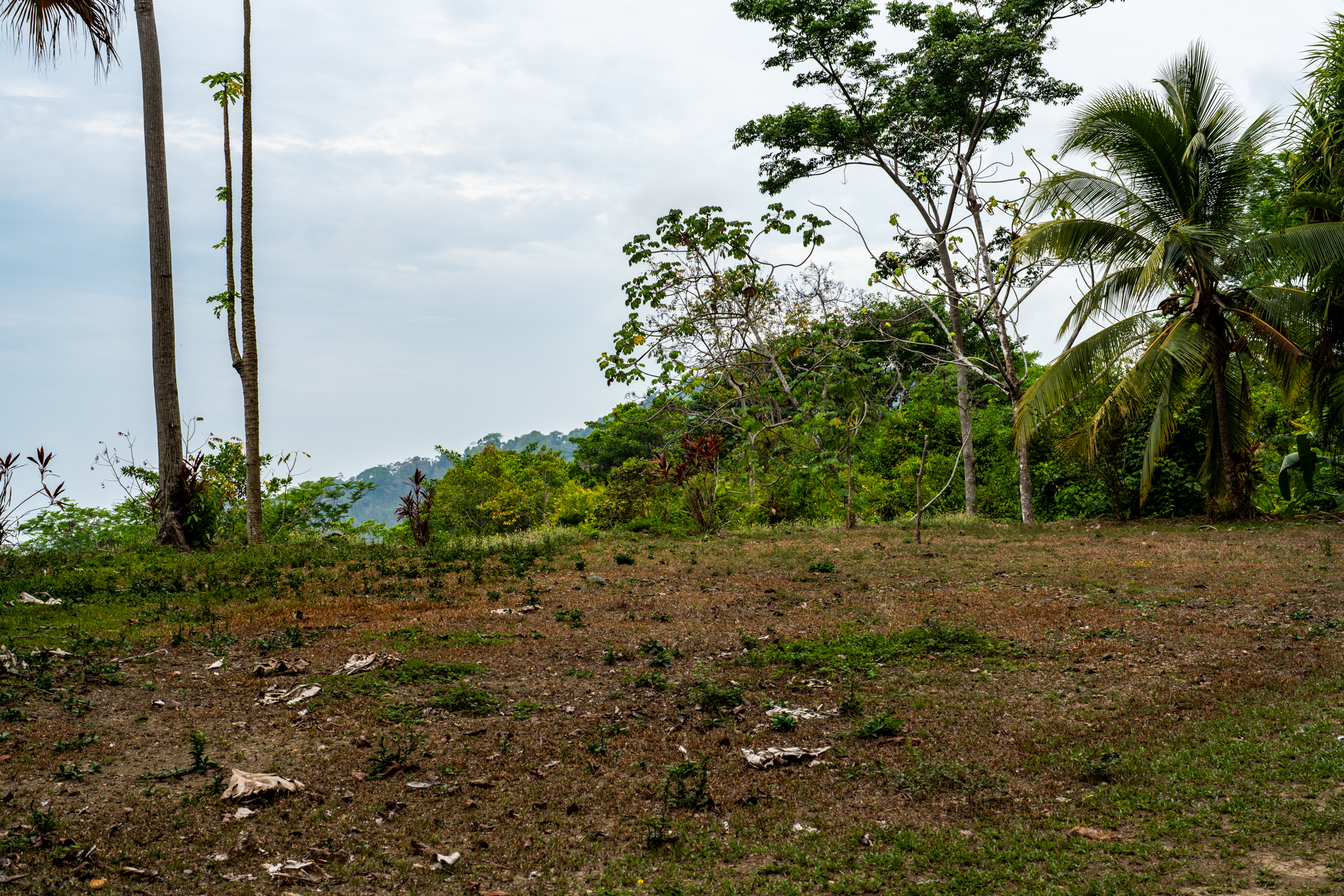 2 bed Land For Sale in Dominical, Puntarenas - thumb 18