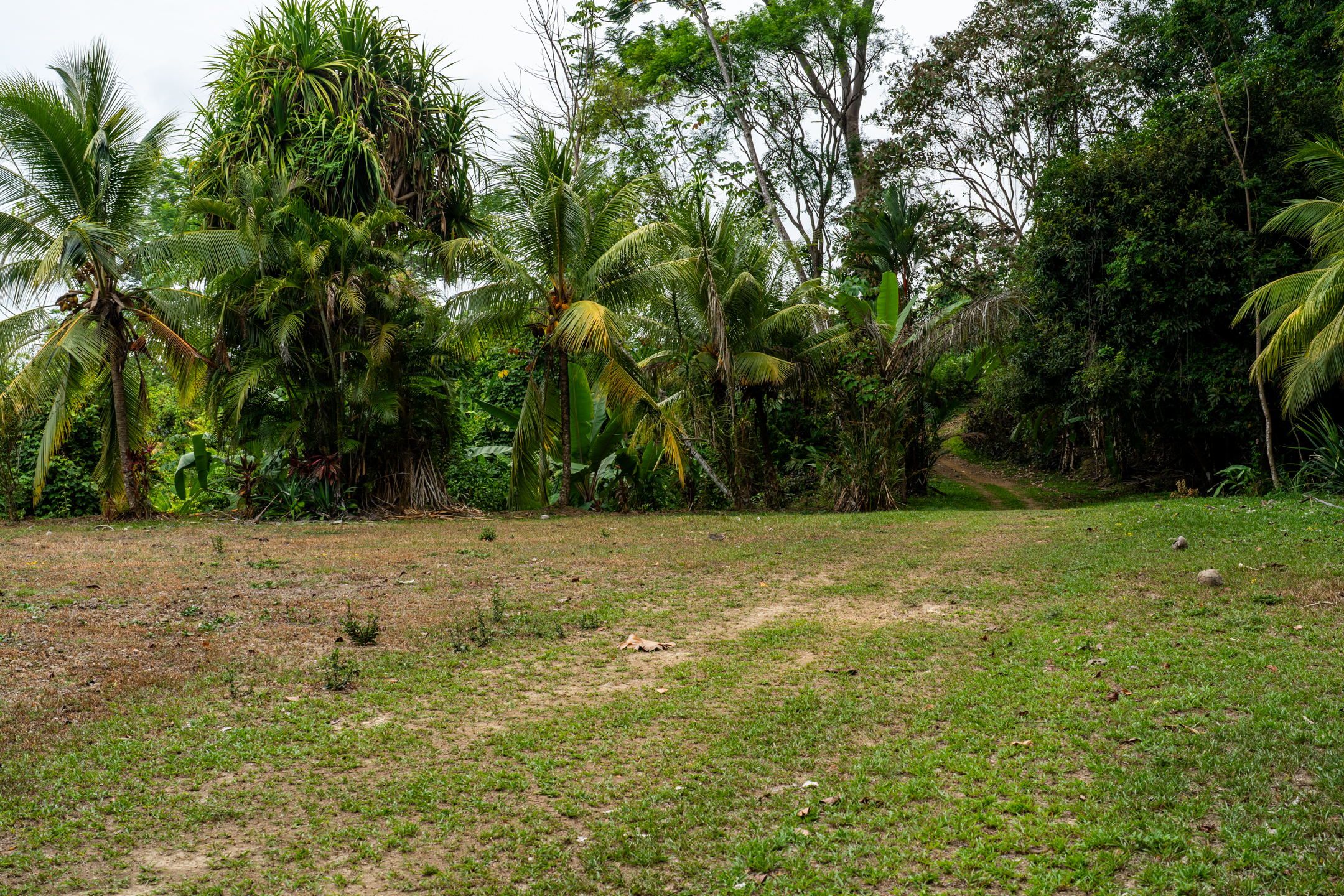 2 bed Land For Sale in Dominical, Puntarenas - thumb 17