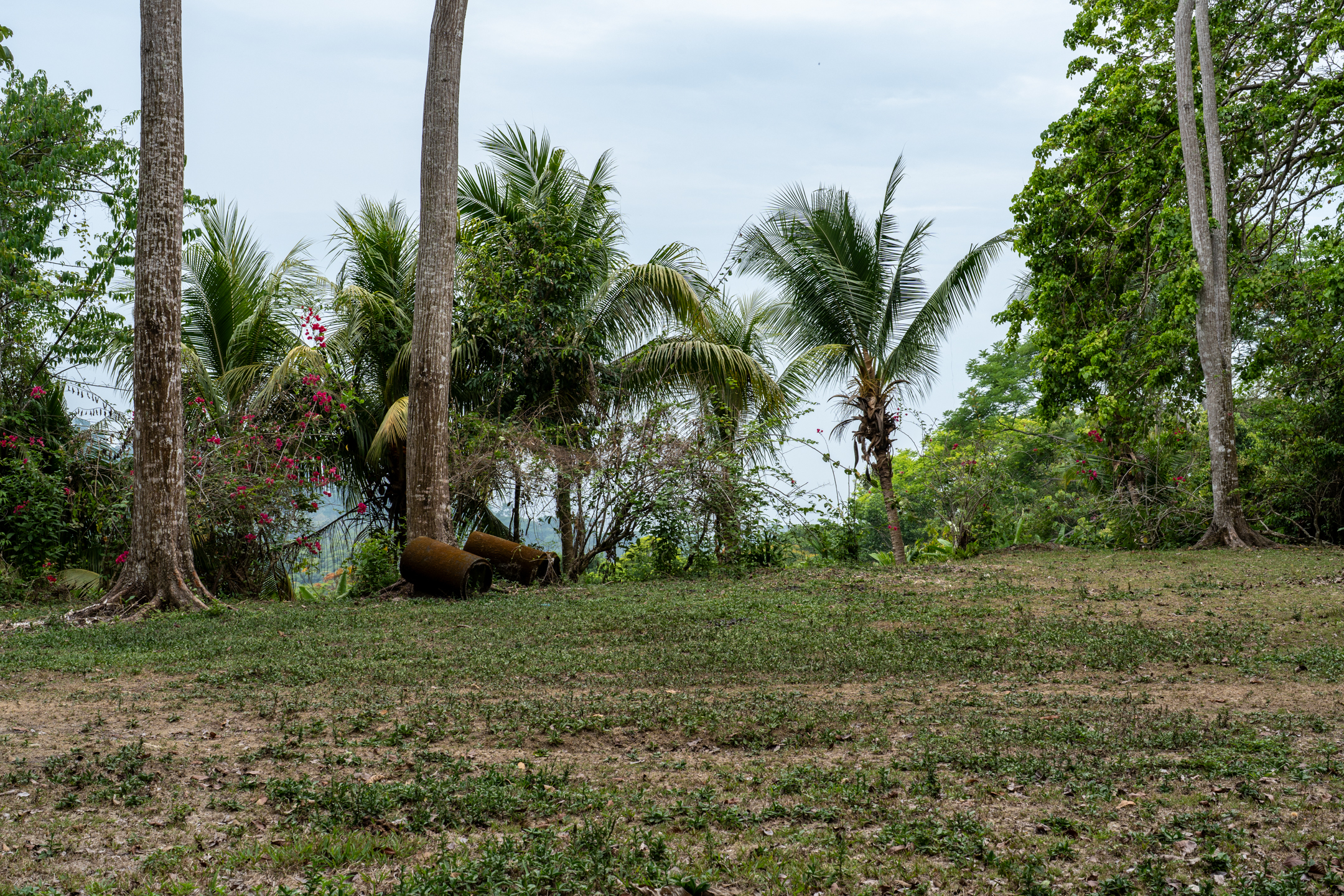 2 bed Land For Sale in Dominical, Puntarenas - thumb 14