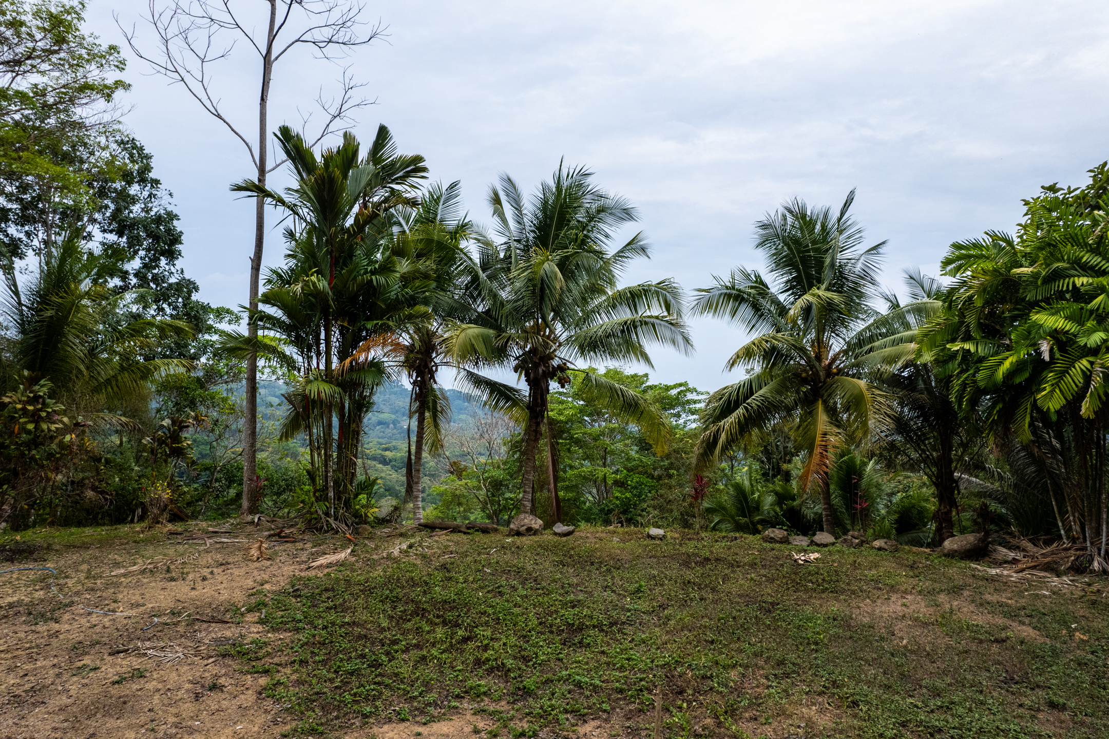 2 bed Land For Sale in Dominical, Puntarenas - thumb 29