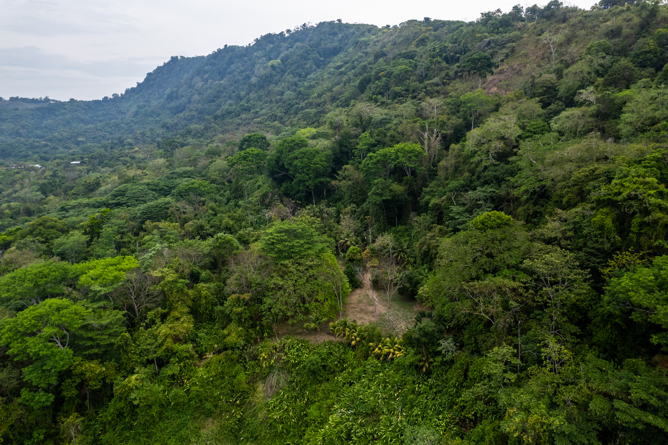 2 bed Land For Sale in Dominical, Puntarenas - thumb 26