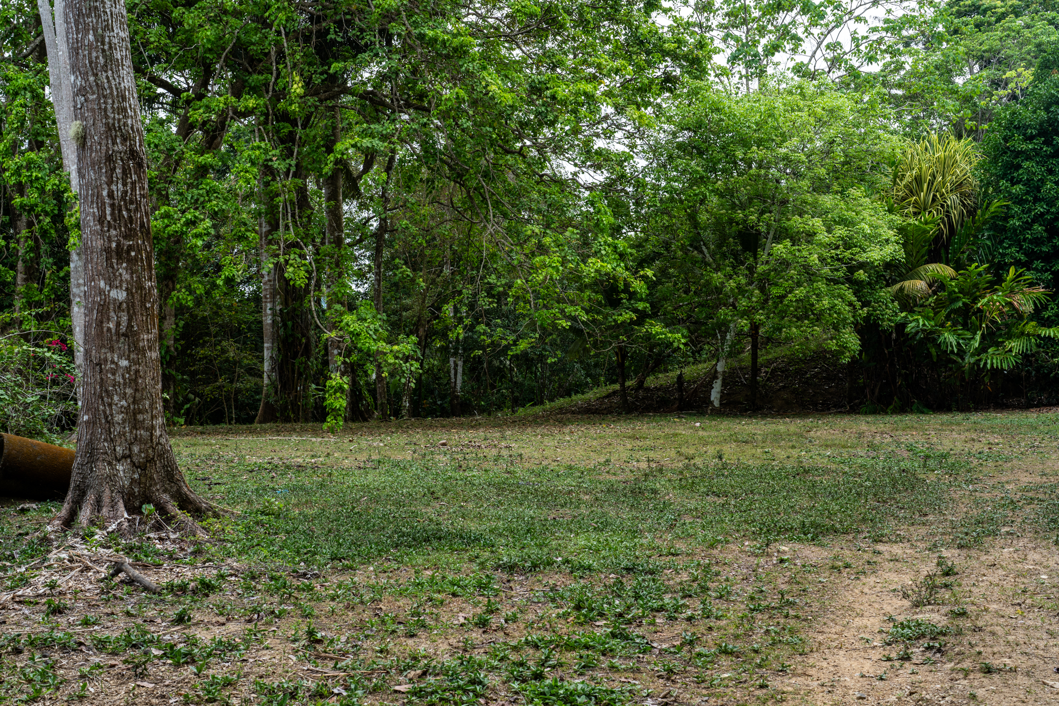 2 bed Land For Sale in Dominical, Puntarenas - thumb 13