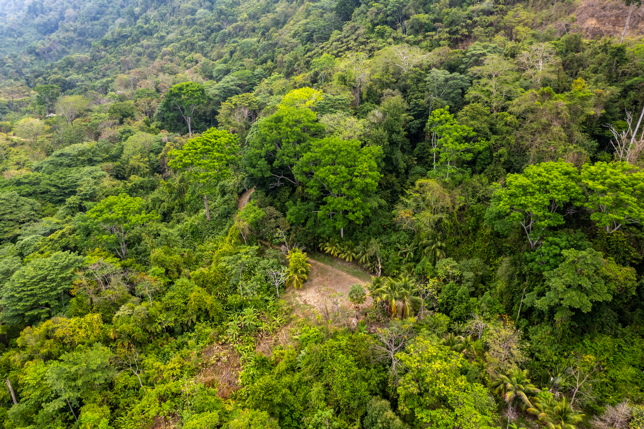 2 bed Land For Sale in Dominical, Puntarenas - thumb 28