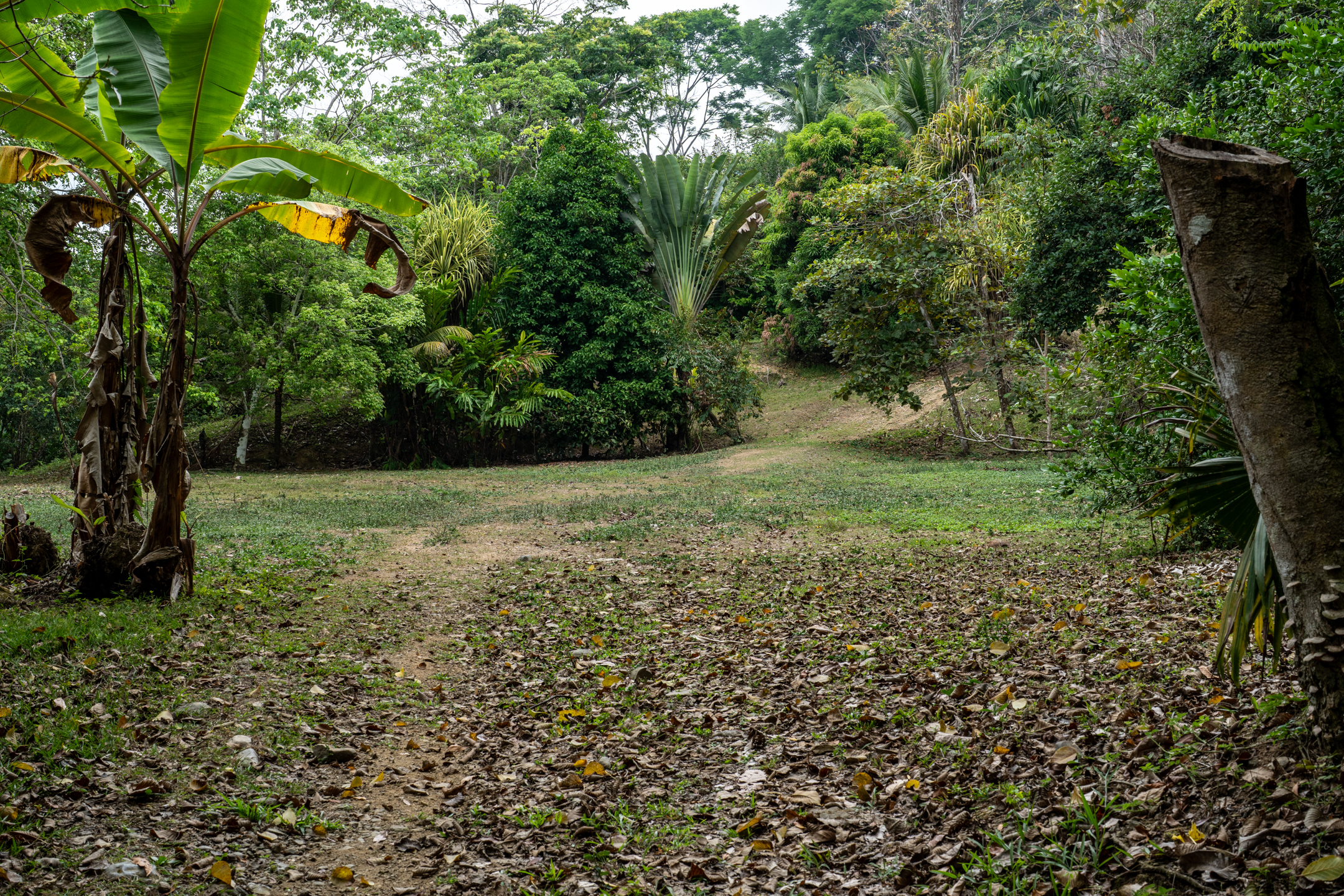 2 bed Land For Sale in Dominical, Puntarenas - thumb 12