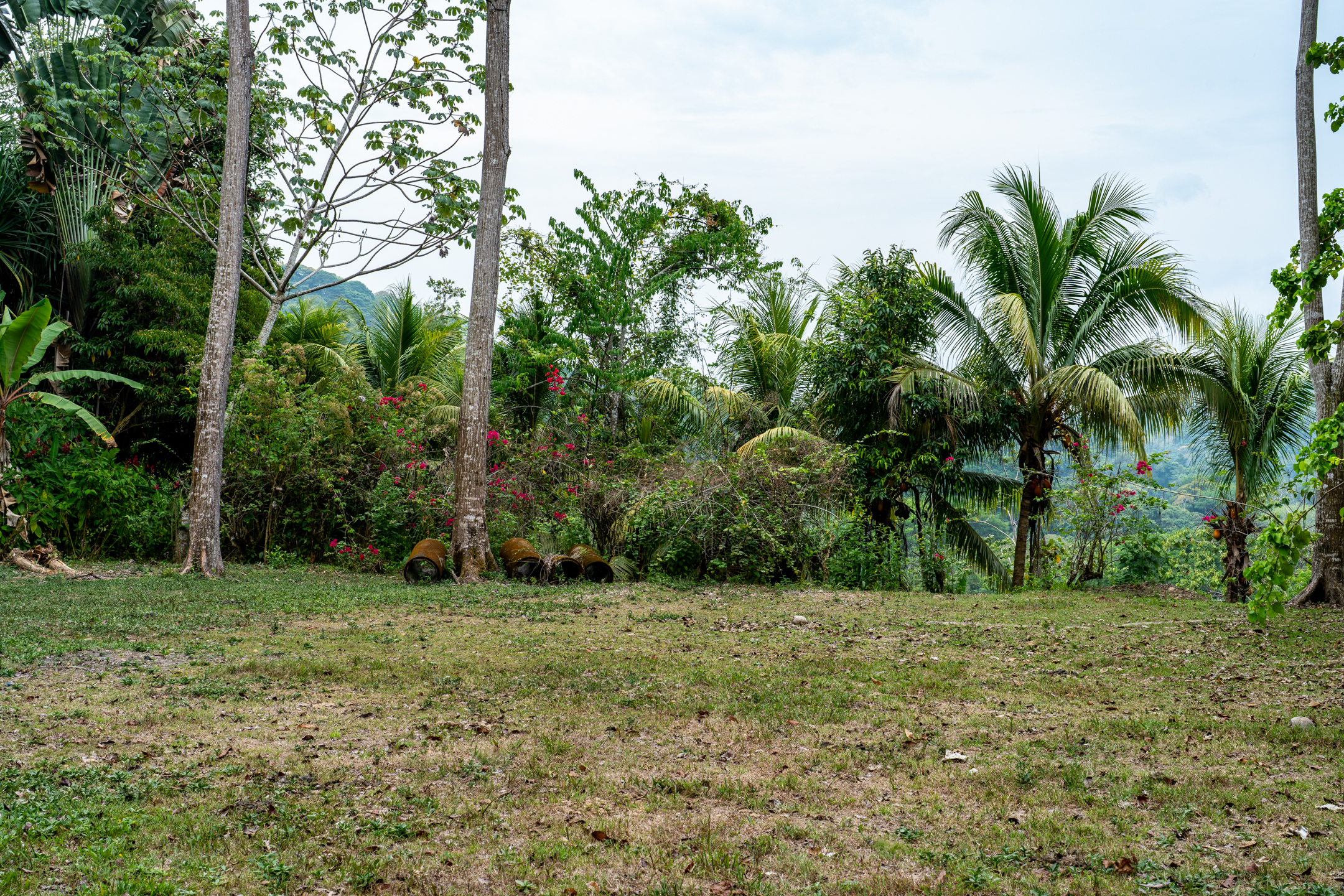 2 bed Land For Sale in Dominical, Puntarenas - thumb 16