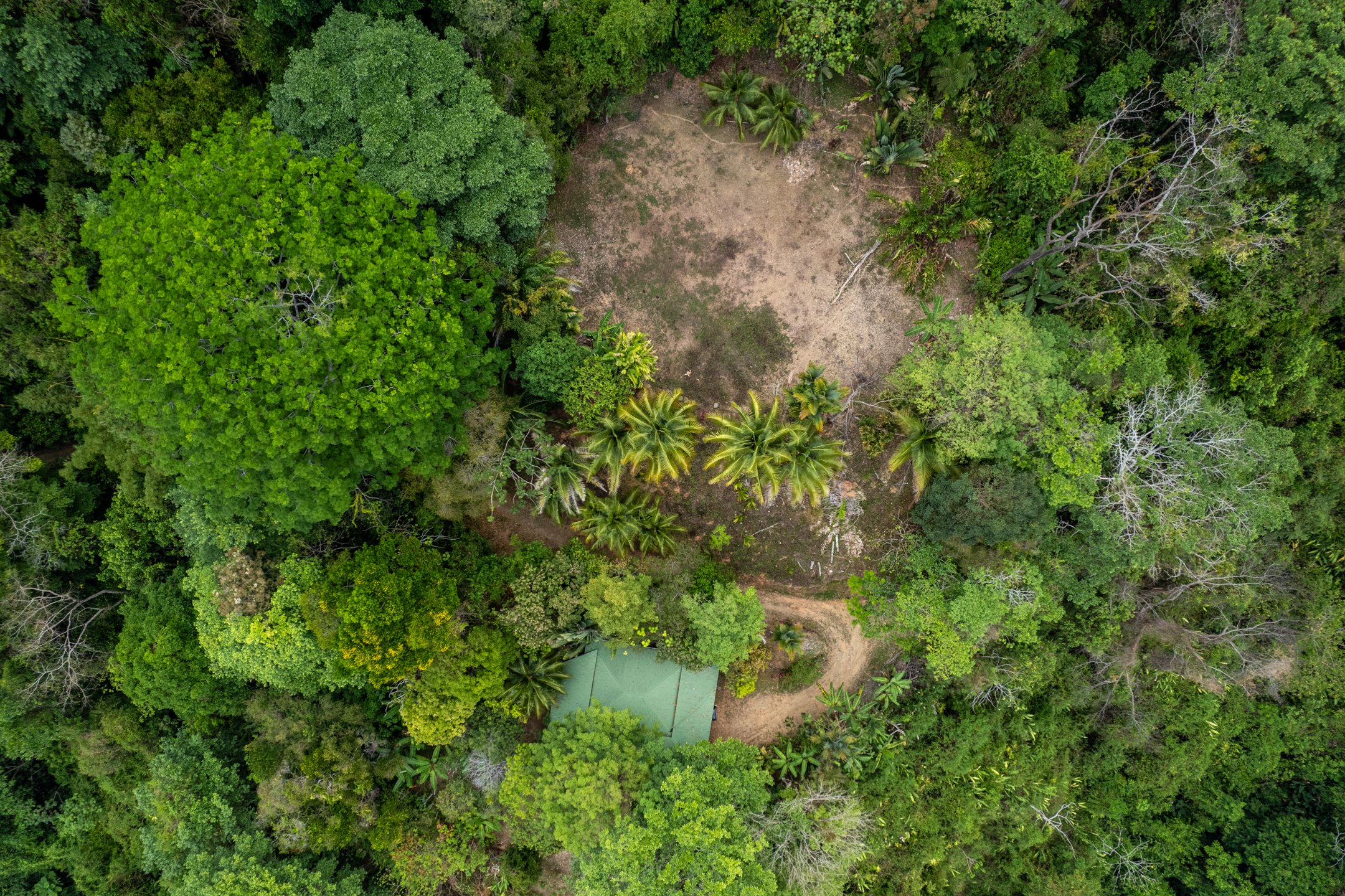 2 bed Land For Sale in Dominical, Puntarenas - thumb 5