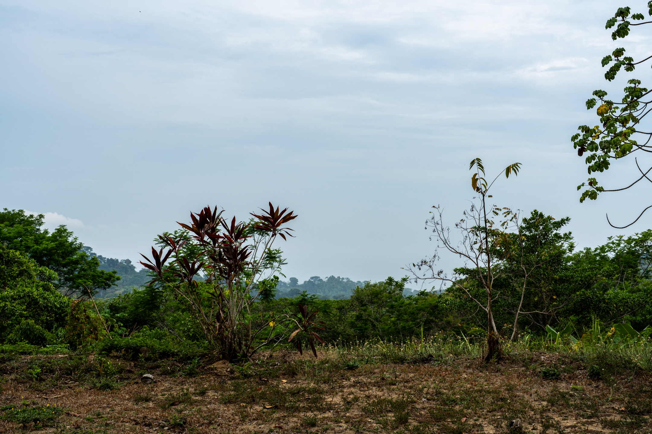 2 bed Land For Sale in Dominical, Puntarenas - thumb 21