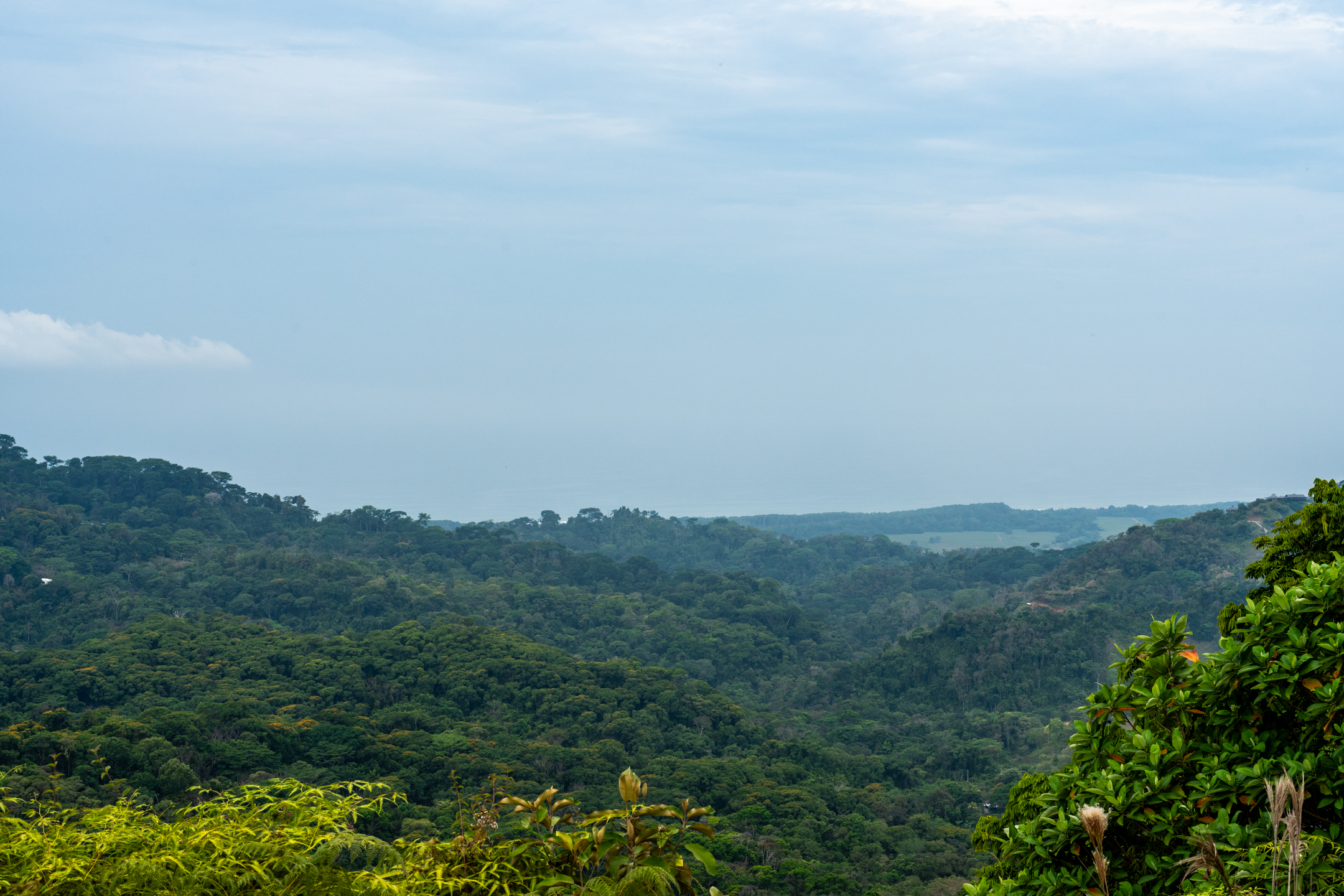 2 bed Land For Sale in Dominical, Puntarenas - thumb 23