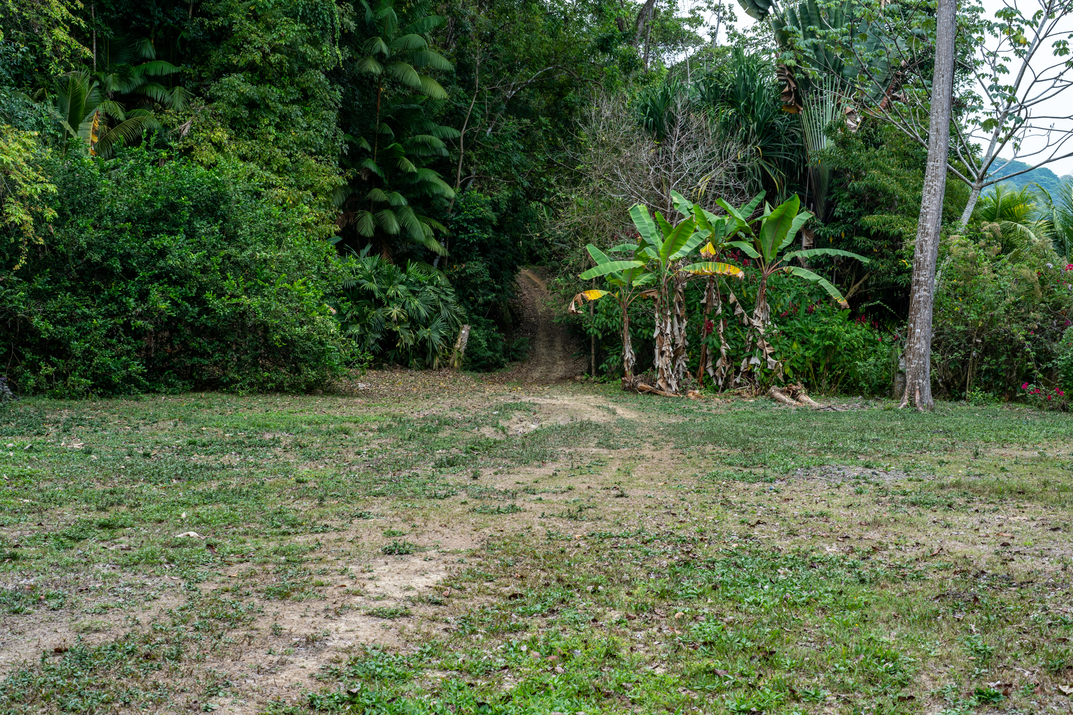 2 bed Land For Sale in Dominical, Puntarenas - thumb 2