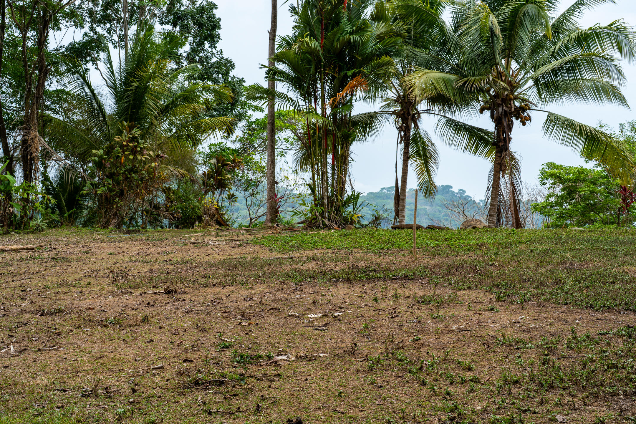 2 bed Land For Sale in Dominical, Puntarenas - thumb 3