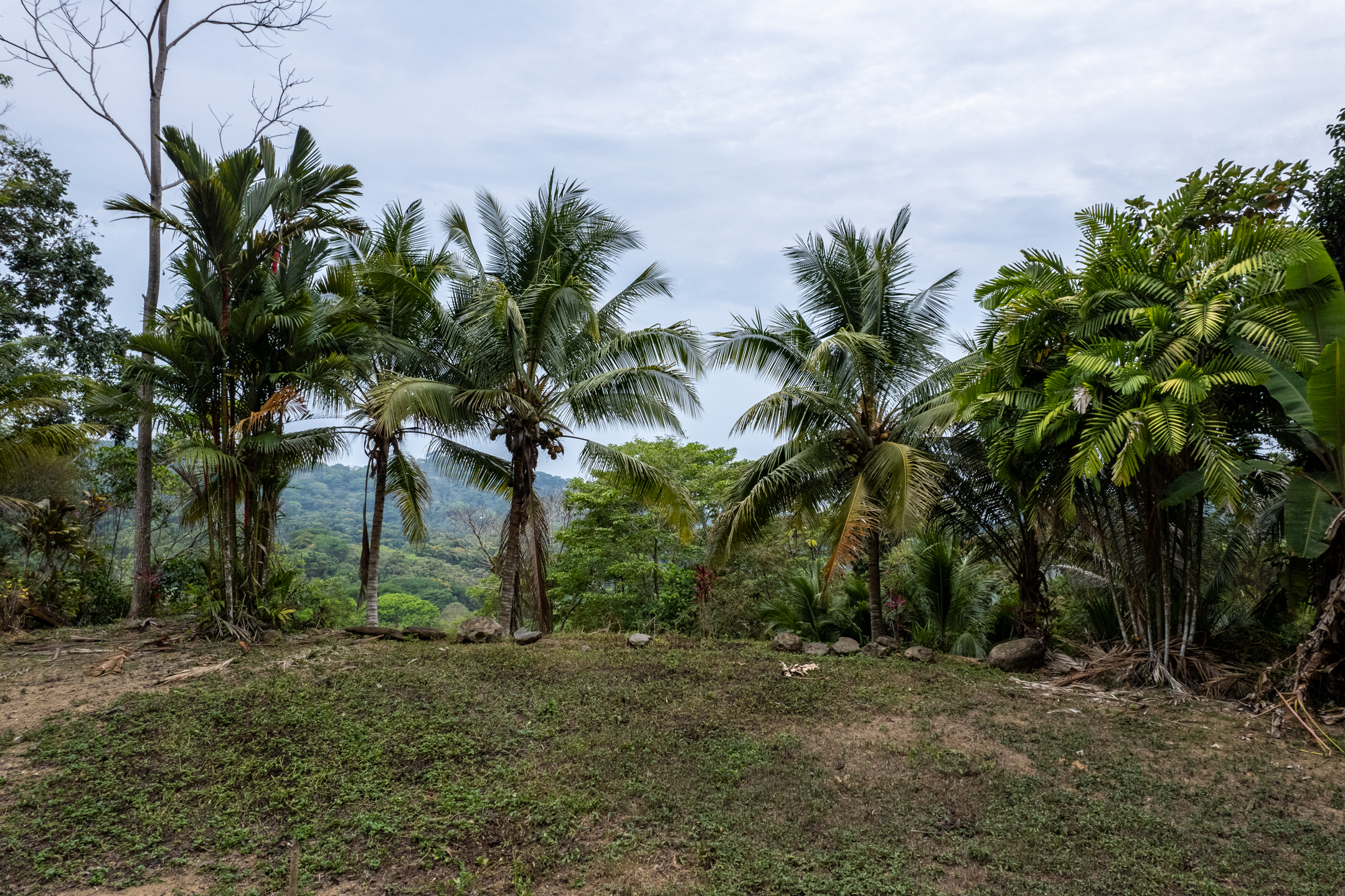 2 bed Land For Sale in Dominical, Puntarenas - thumb 9