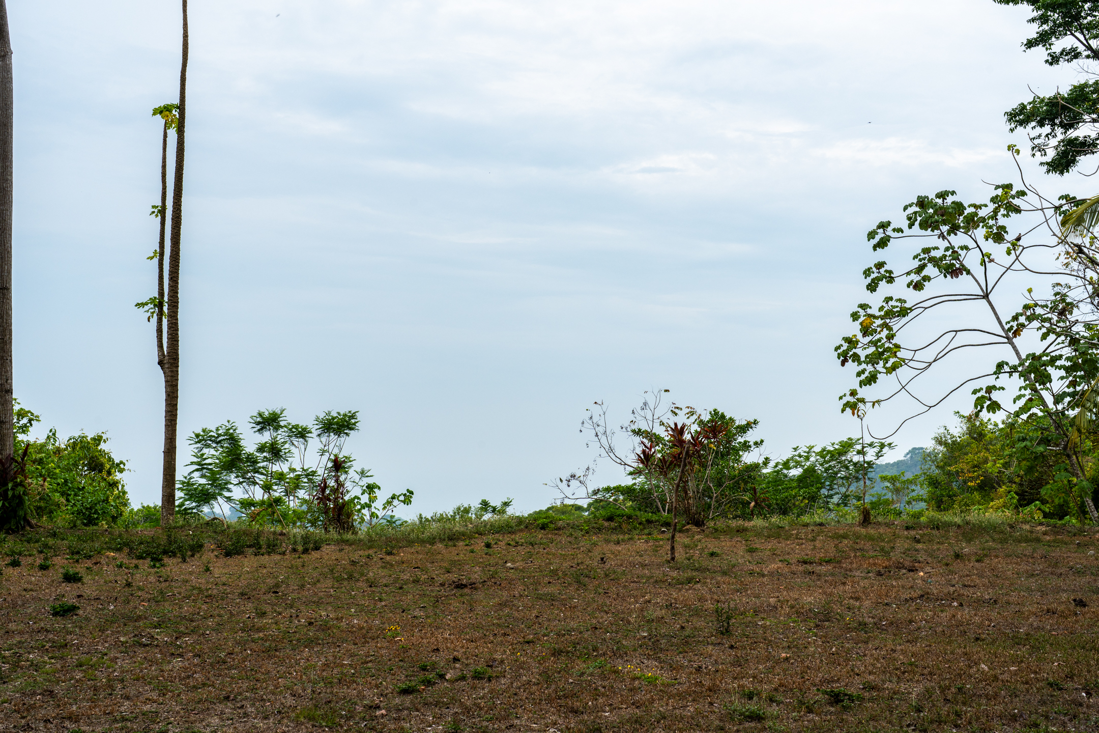 2 bed Land For Sale in Dominical, Puntarenas - thumb 20