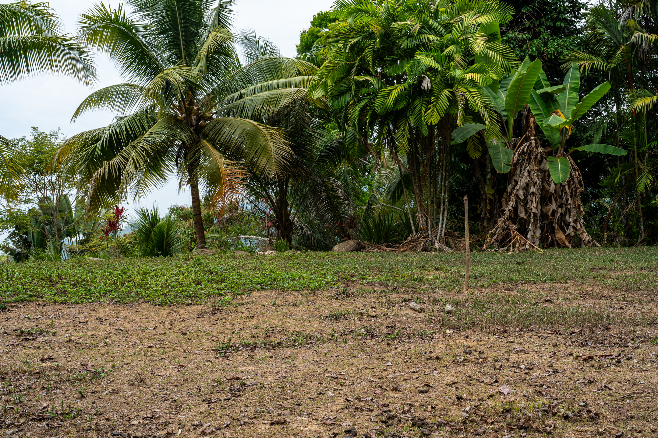 2 bed Land For Sale in Dominical, Puntarenas - thumb 10