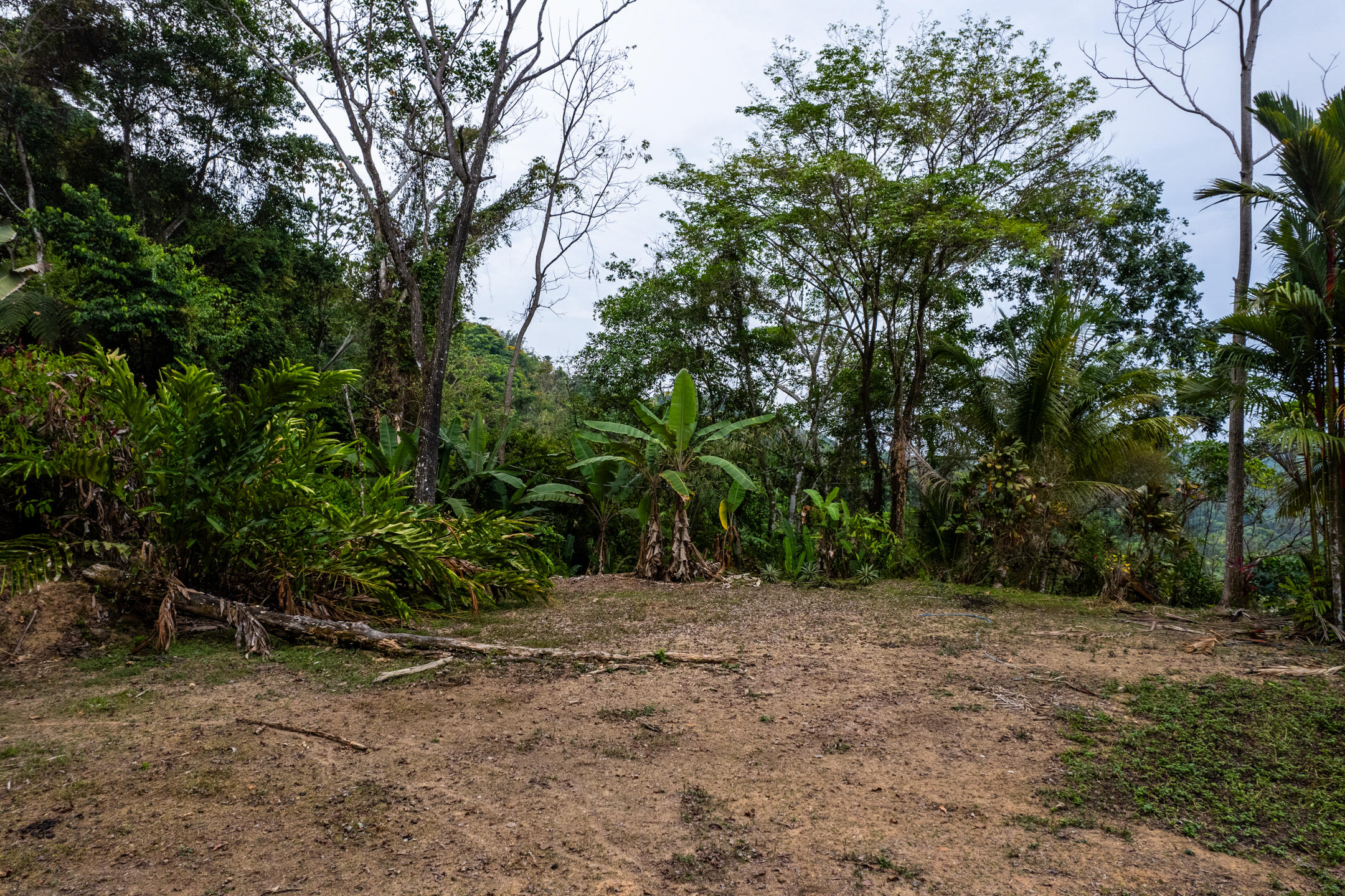 2 bed Land For Sale in Dominical, Puntarenas - thumb 8