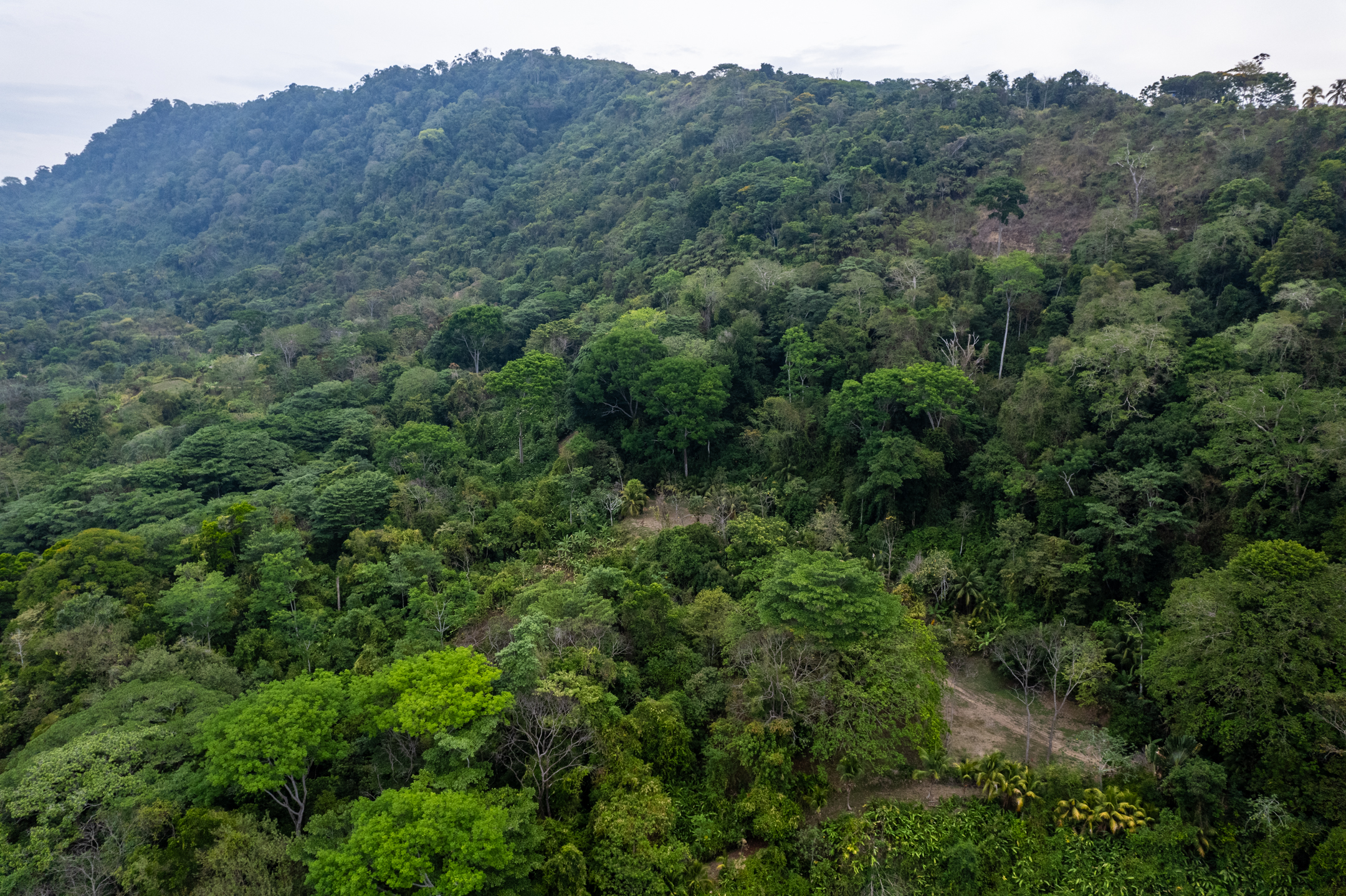 2 bed Land For Sale in Dominical, Puntarenas - thumb 27