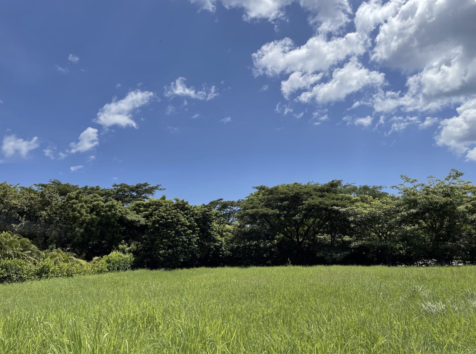 0 bed Land For Sale in Hacienda Pinilla, Guanacaste - thumb 2