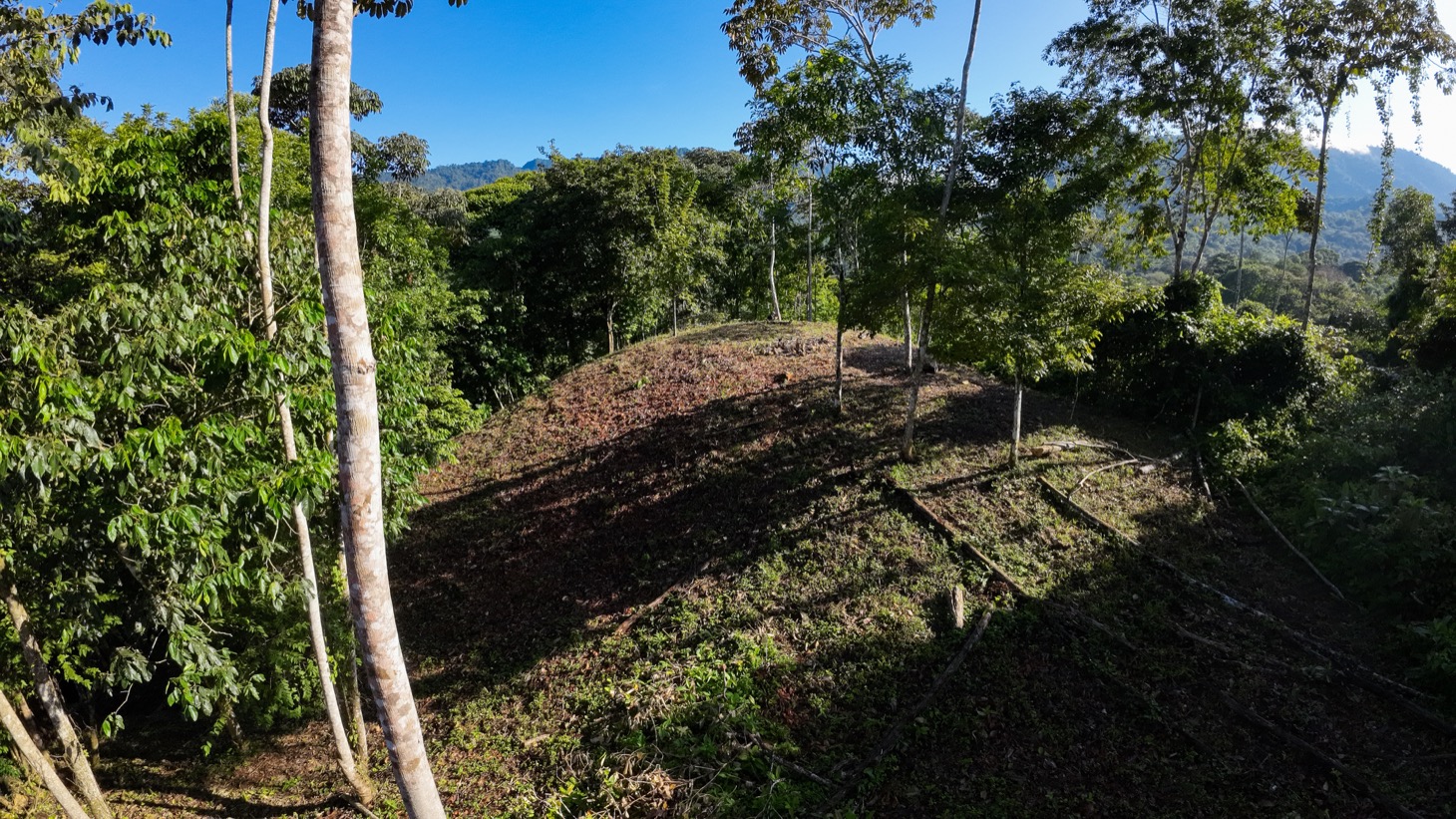 0 bed Land For Sale in Ojochal, Puntarenas - thumb 5