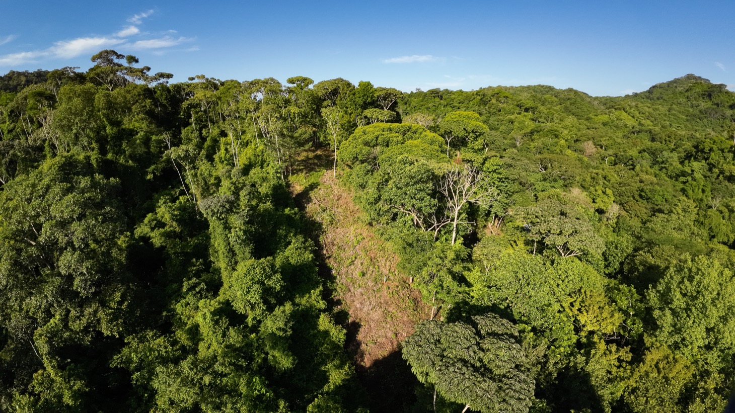 0 bed Land For Sale in Ojochal, Puntarenas - thumb 14