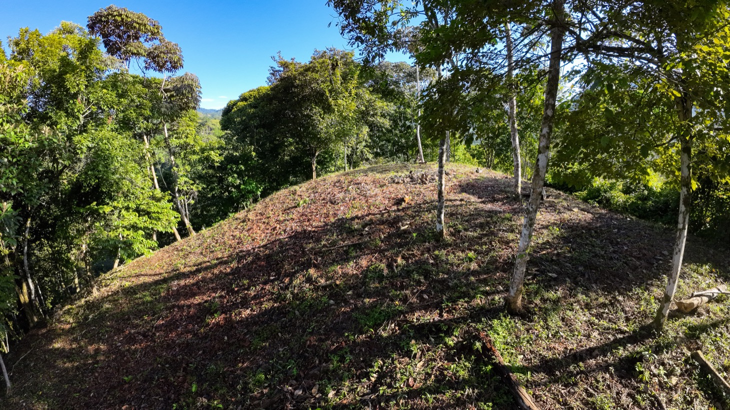 0 bed Land For Sale in Ojochal, Puntarenas - thumb 4