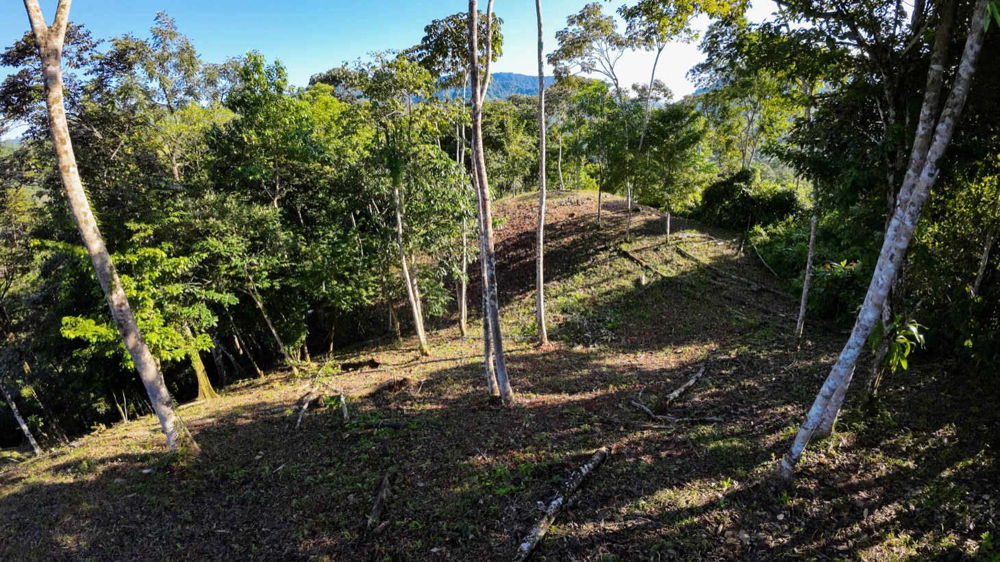 0 bed Land For Sale in Ojochal, Puntarenas - thumb 9