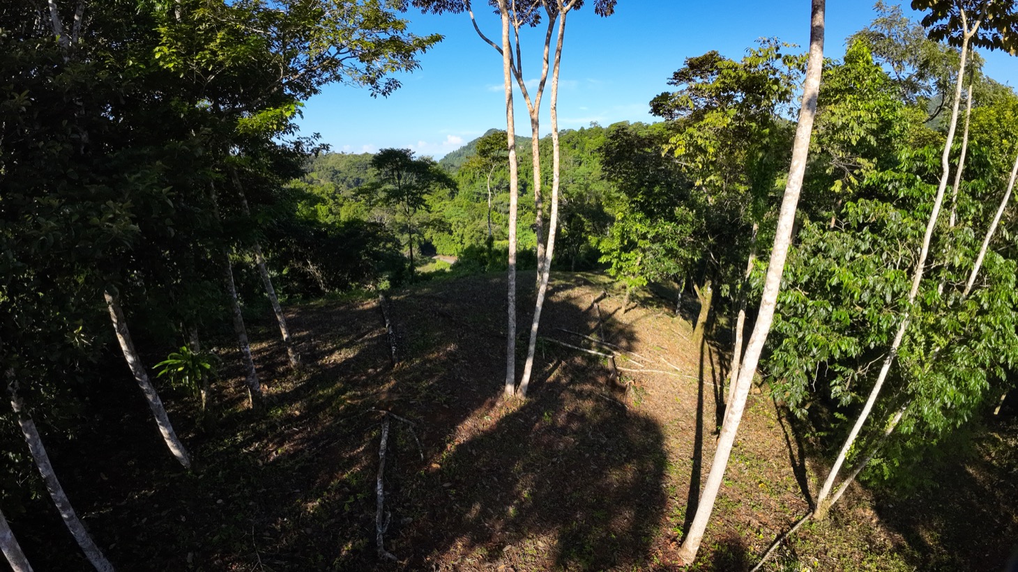 0 bed Land For Sale in Ojochal, Puntarenas - thumb 6