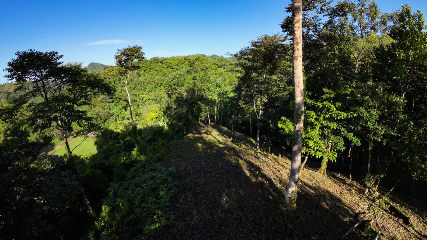 0 bed Land For Sale in Ojochal, Puntarenas - thumb 8