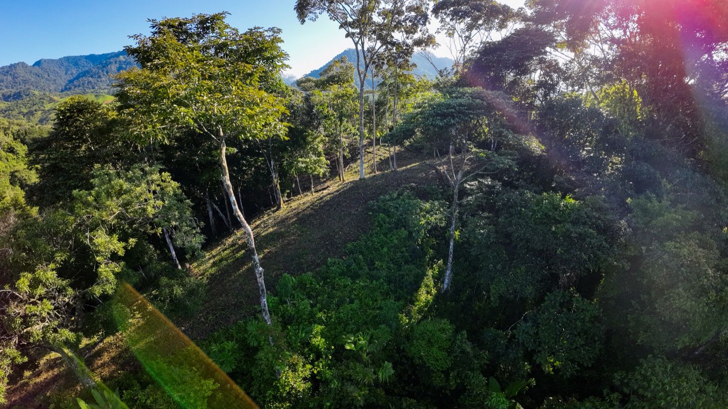 0 bed Land For Sale in Ojochal, Puntarenas - thumb 10