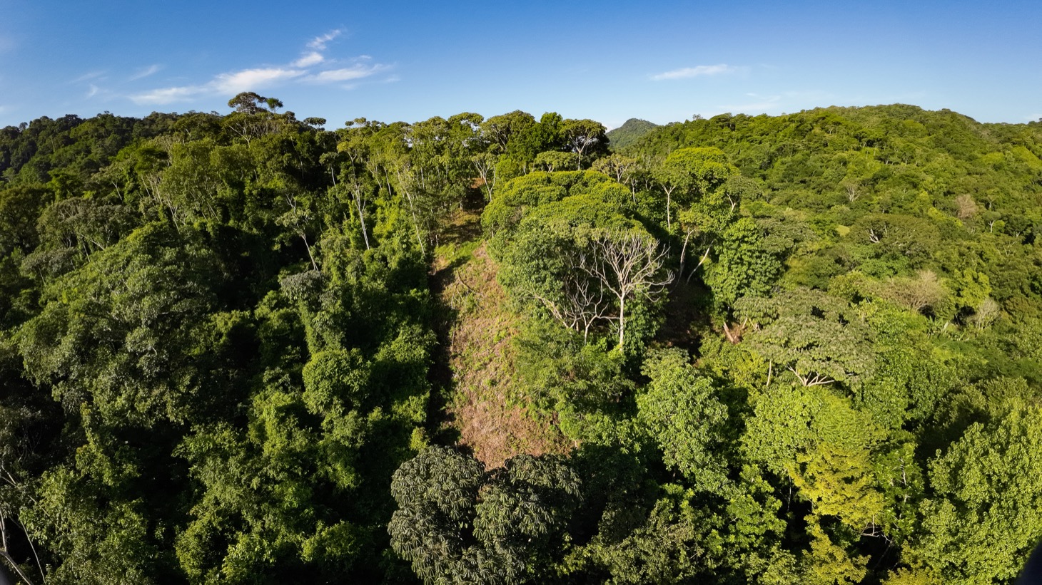 0 bed Land For Sale in Ojochal, Puntarenas - thumb 15