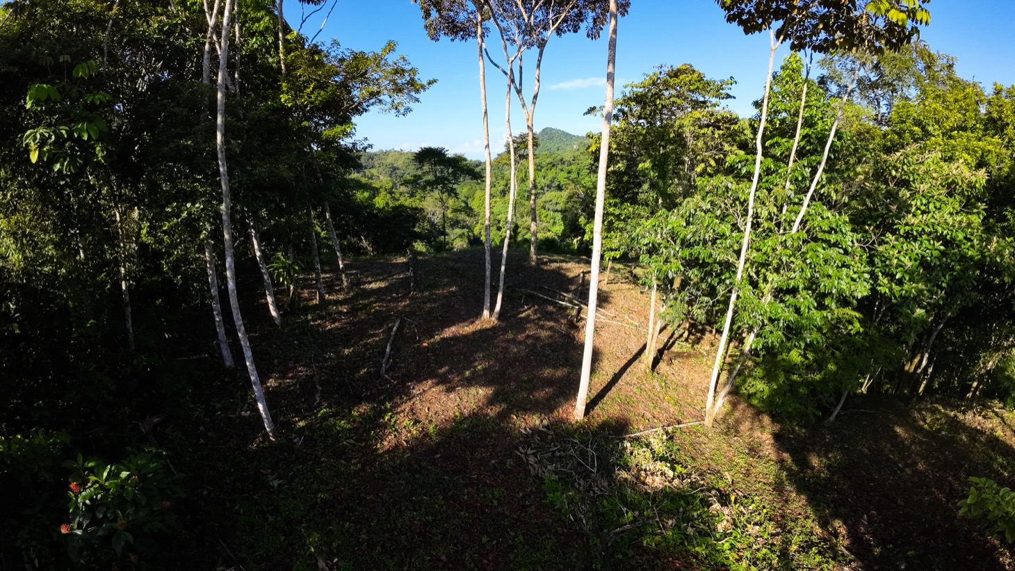 0 bed Land For Sale in Ojochal, Puntarenas - thumb 7