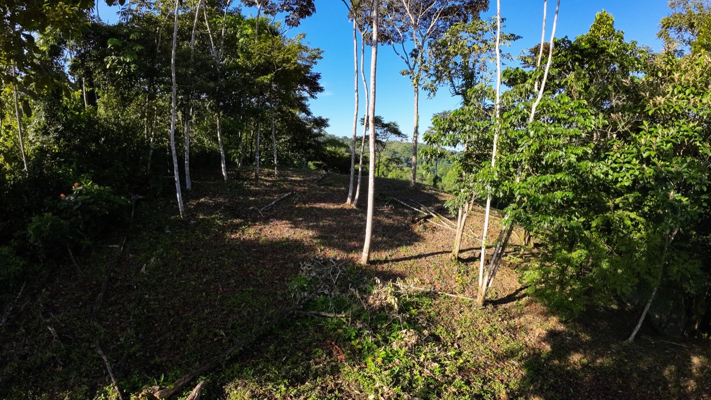 0 bed Land For Sale in Ojochal, Puntarenas - thumb 3