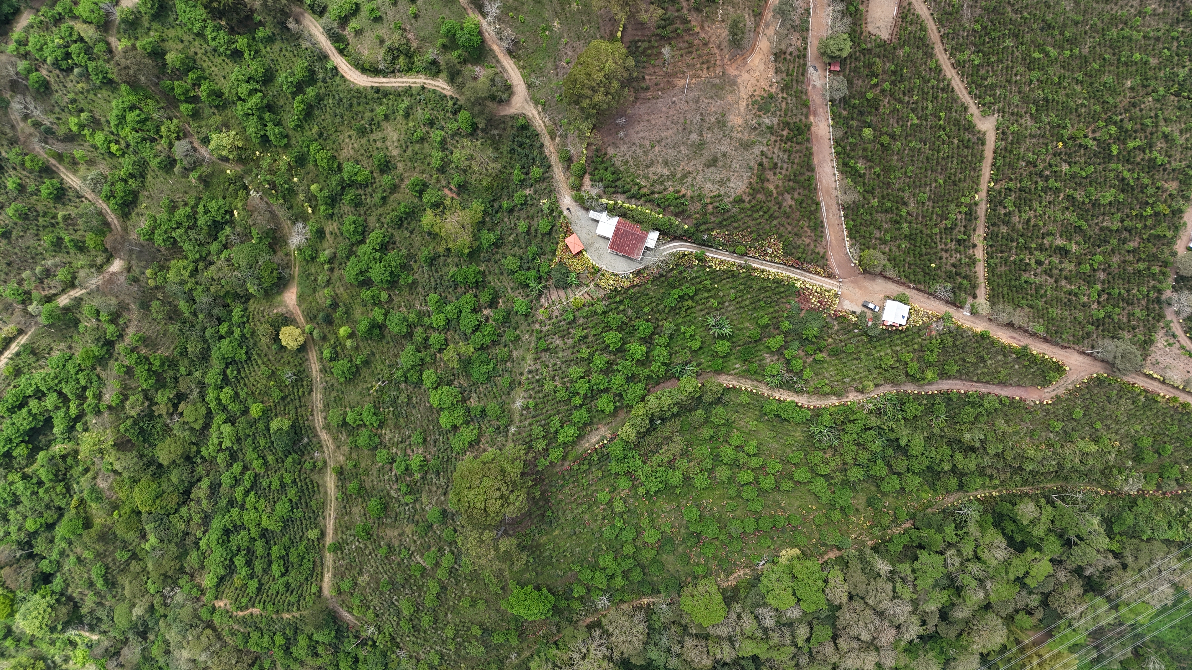 2 bed Single Family Homes For Sale in Orosi, Cartago - thumb 13