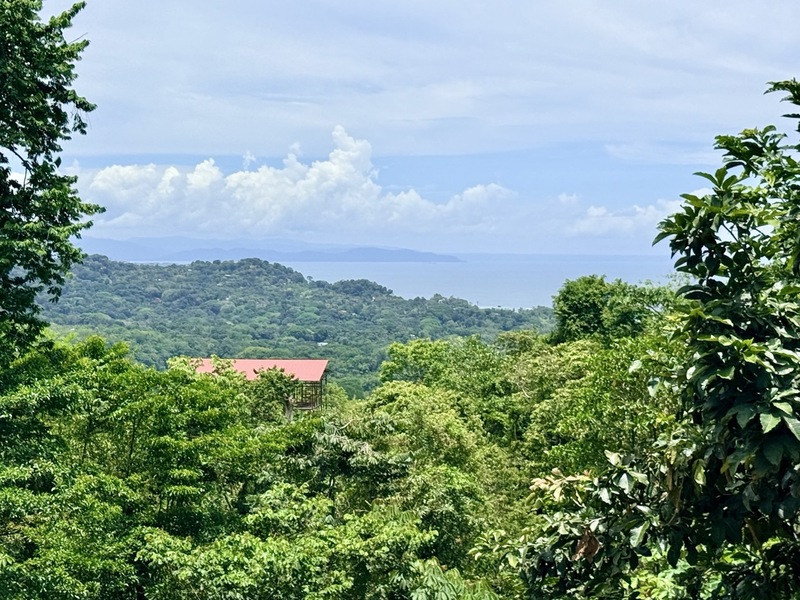 3 bed Single Family Homes For Sale in Ojochal, Puntarenas - hero 3