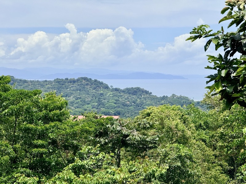 3 bed Single Family Homes For Sale in Ojochal, Puntarenas - hero 13