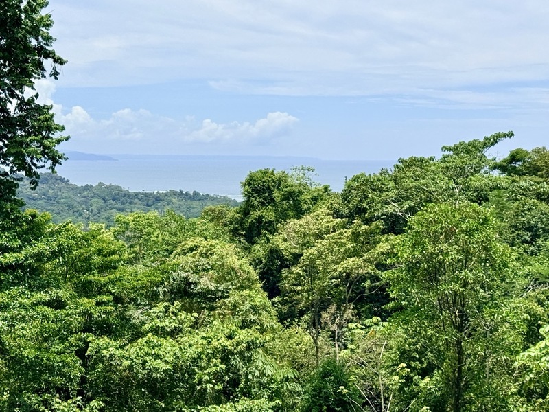 3 bed Single Family Homes For Sale in Ojochal, Puntarenas - hero 25