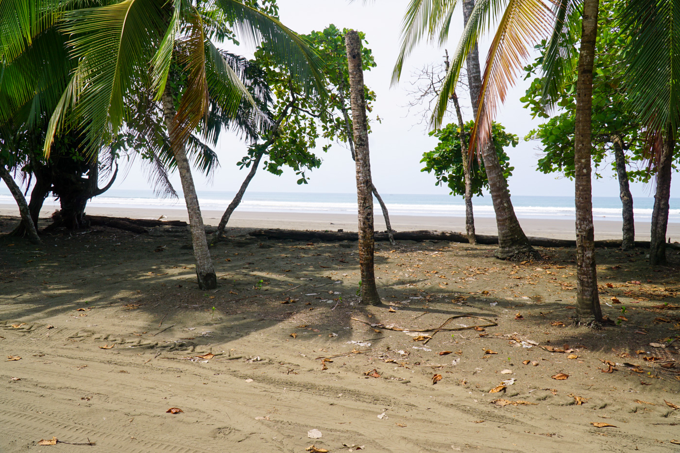 0 bed Land For Sale in Matapalo, Puntarenas - thumb 23