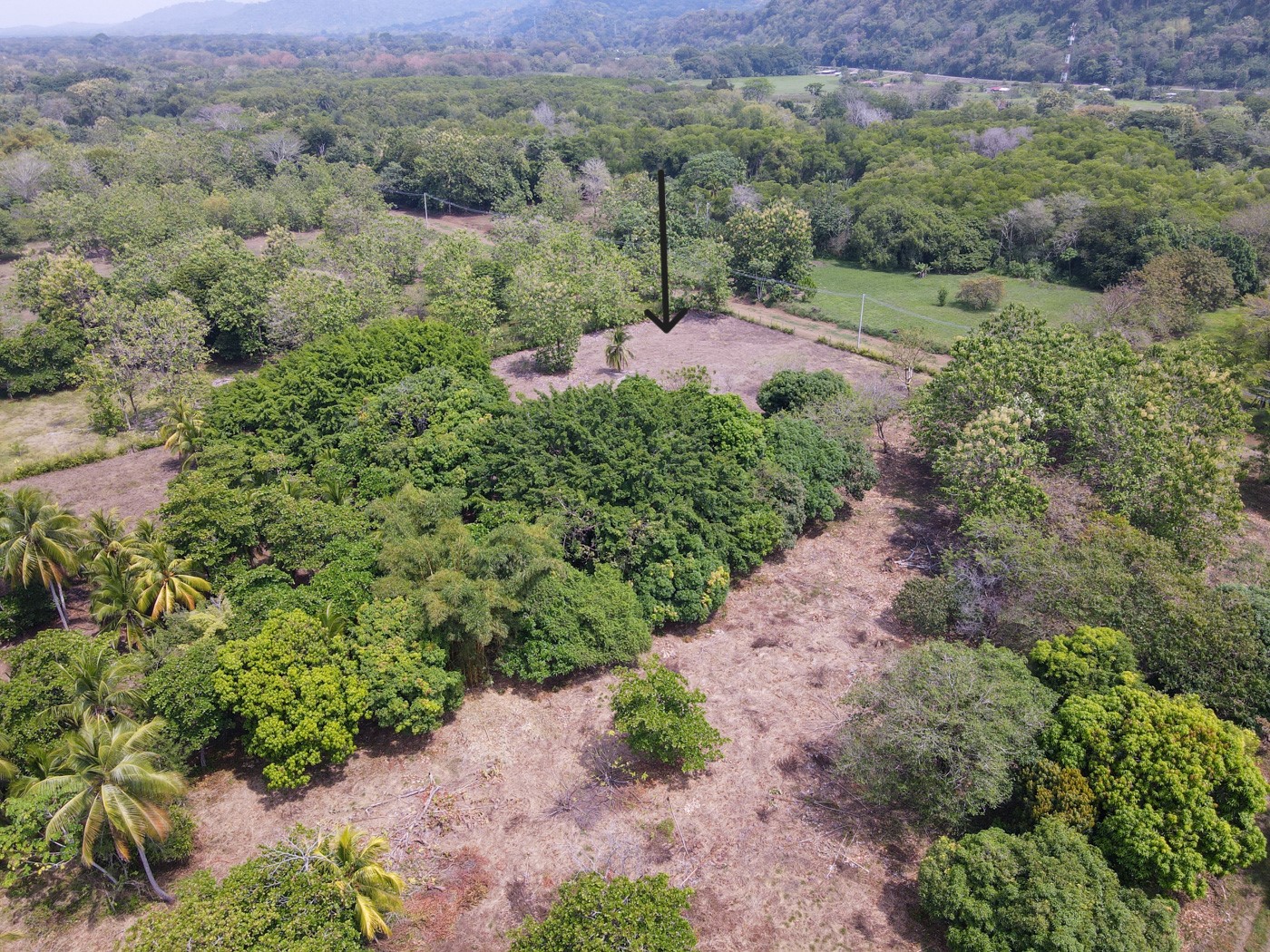 0 bed Land For Sale in Matapalo, Puntarenas - thumb 4