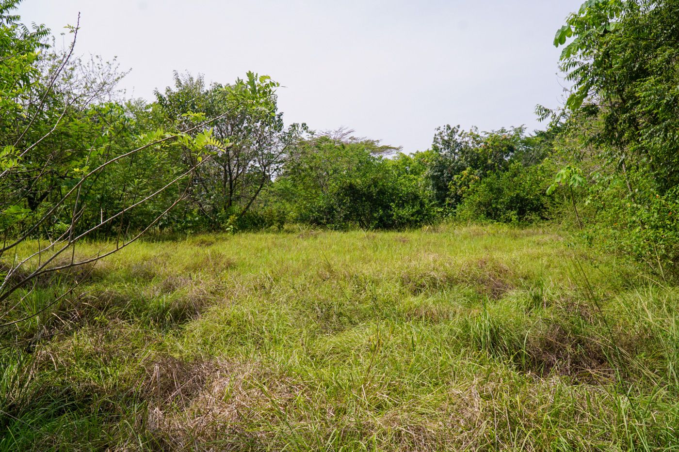 0 bed Land For Sale in Matapalo, Puntarenas - thumb 19